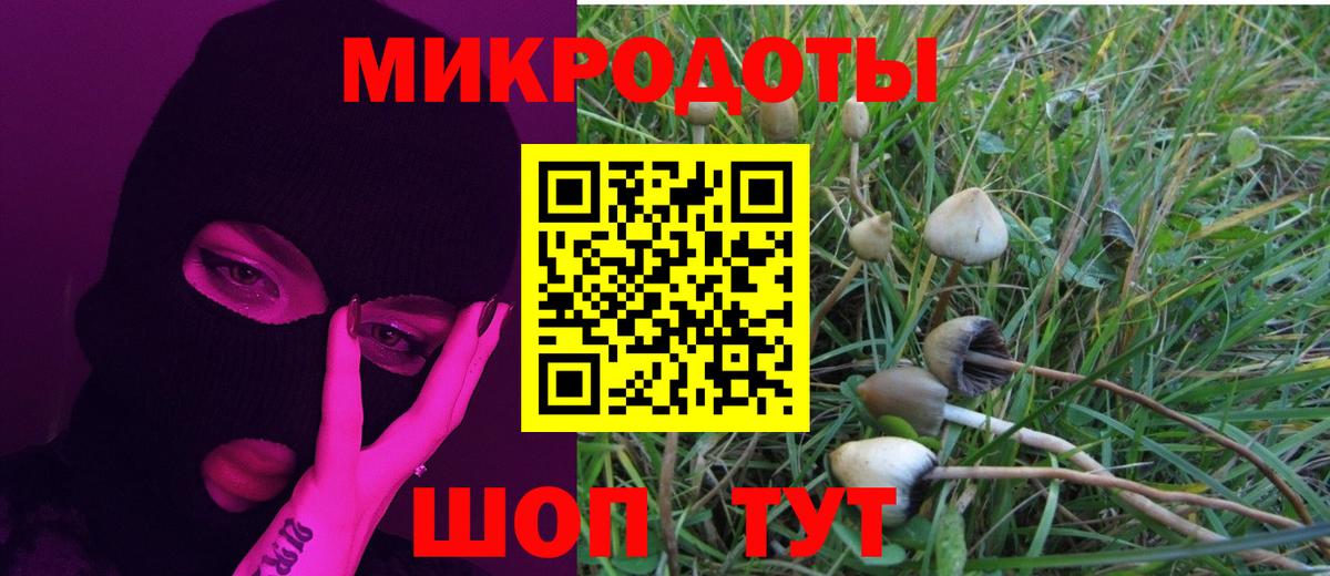 где купить наркоту  Галлюциногенные грибы Magic Shrooms  Вход с VPN  Волгоград 